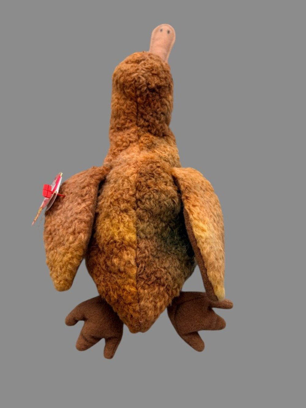 Ty Beanie Babies Beak Kiwi Bird 1998 Plush w/ Hang Tag Retired Collectible - Picture 5 of 9